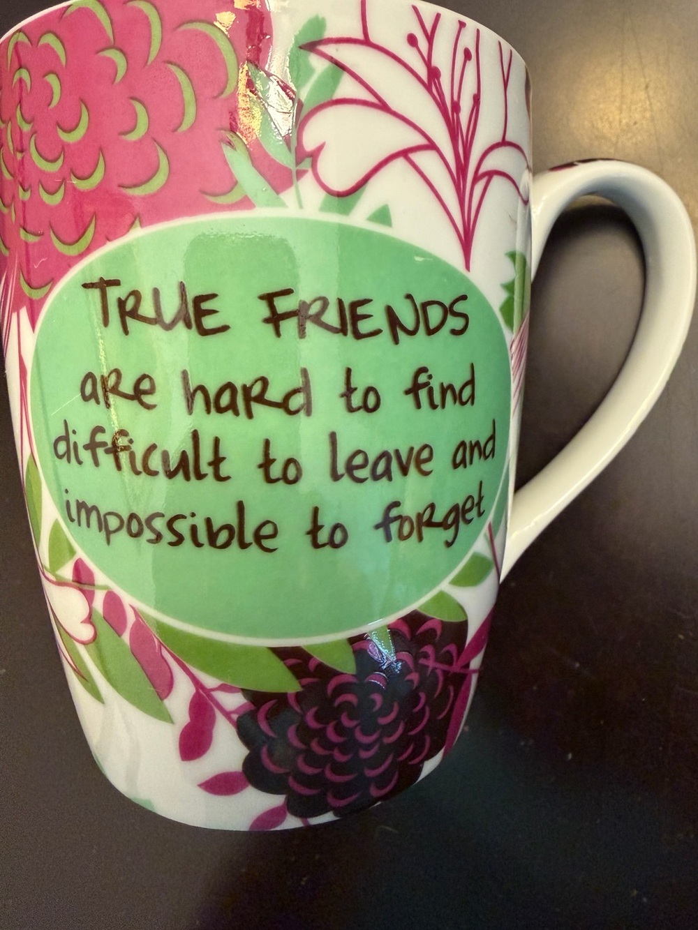 Pier 1 Pink and Green Floral 'True Friends' Ceramic Mug